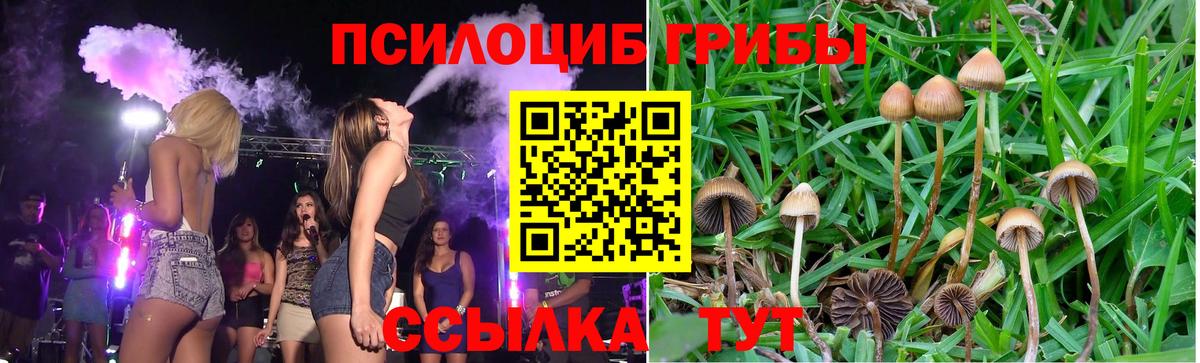 Галлюциногенные грибы GOLDEN TEACHER Егорьевск